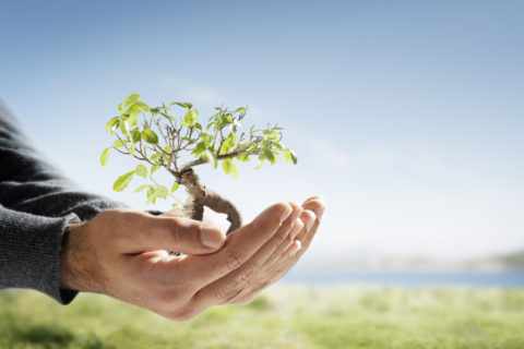 How to be greener
