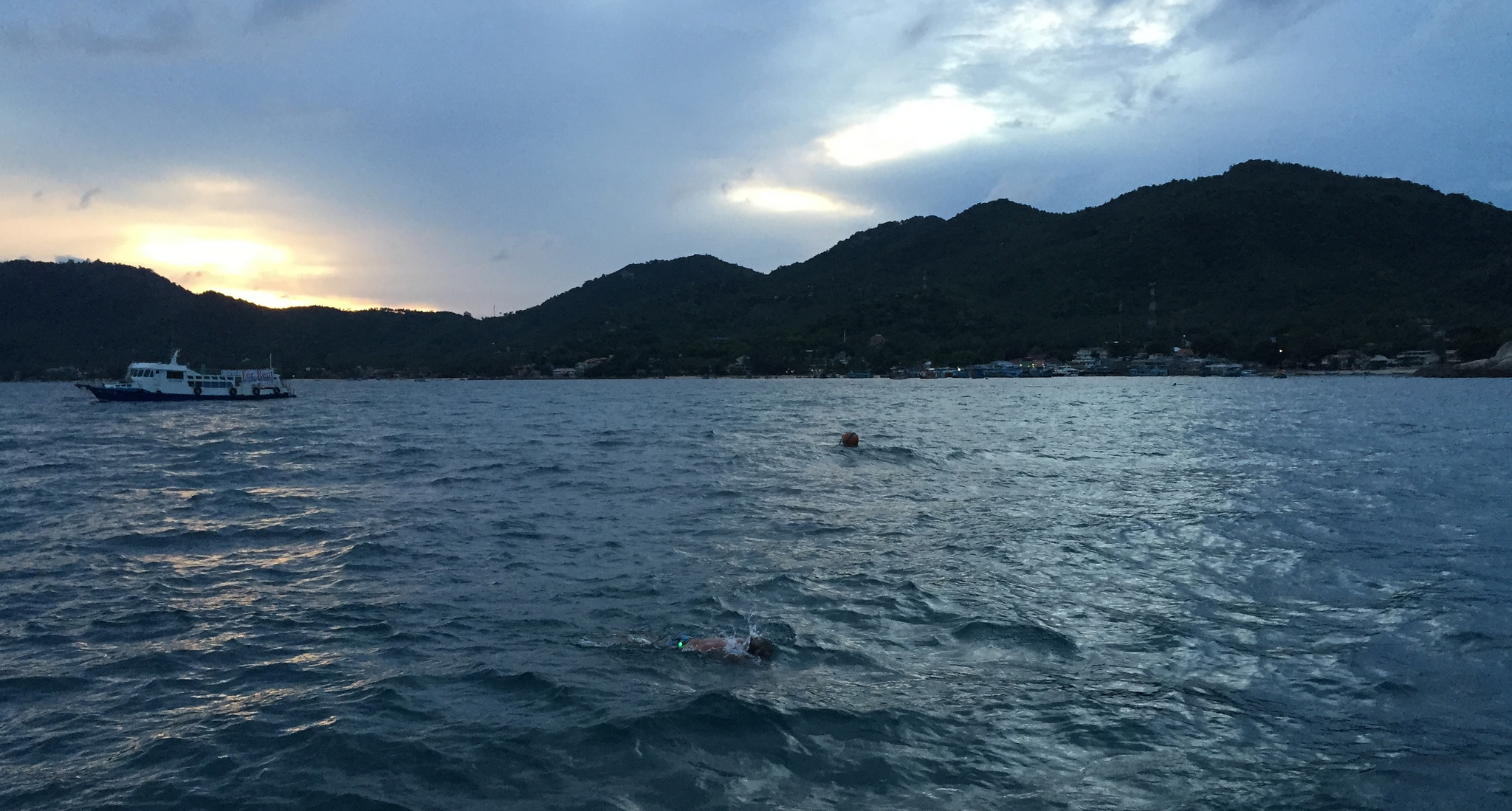 Dawn Shark Conservation Swim Project Aware