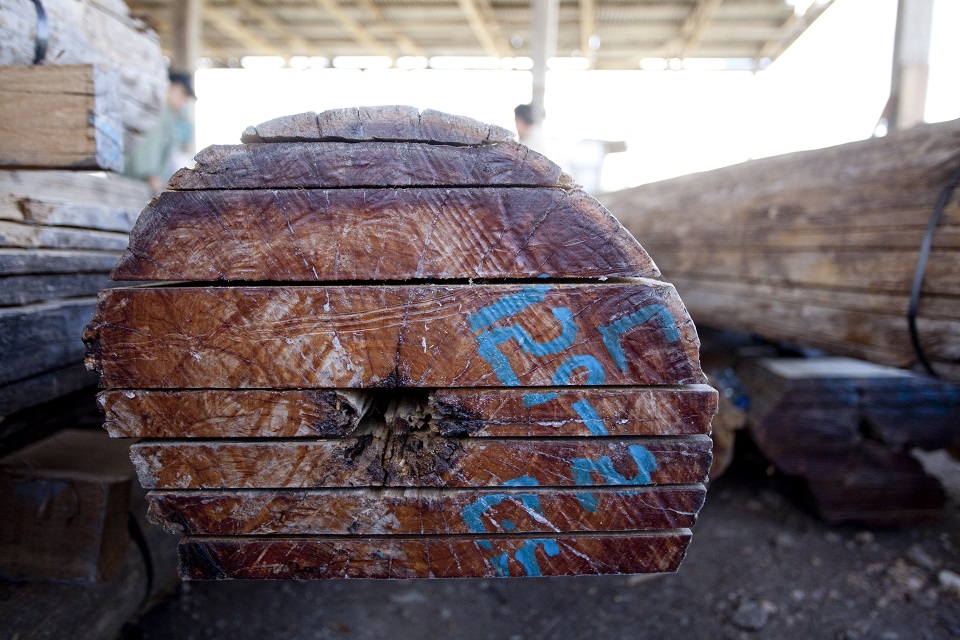 Guatemala Sustainability Forestry
