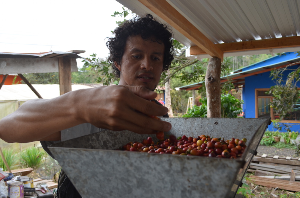 Galapagos Coffee Farm