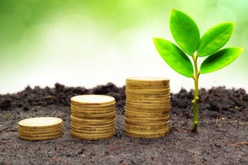 Sustainable Profitability