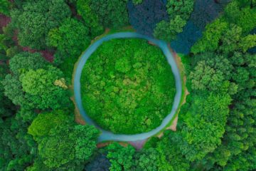Circular Economy Recycling