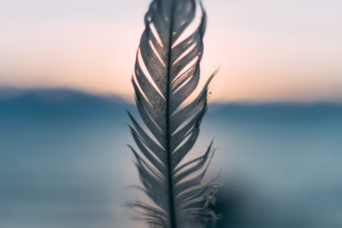 forgiveness