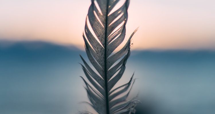 forgiveness