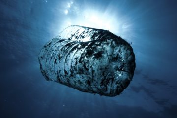 fighting plastic pollution