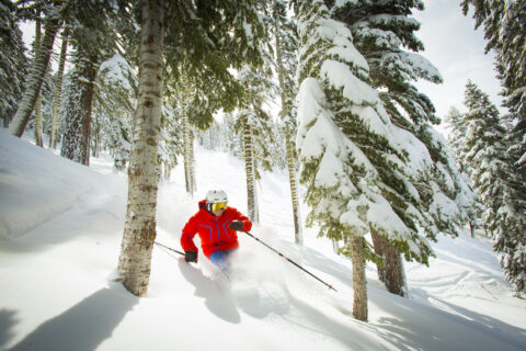 Northstar Tahoe Guide