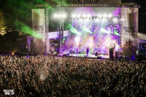 Reggae Rise Up