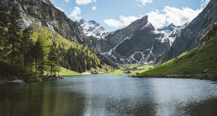 Granting Rights to Nature