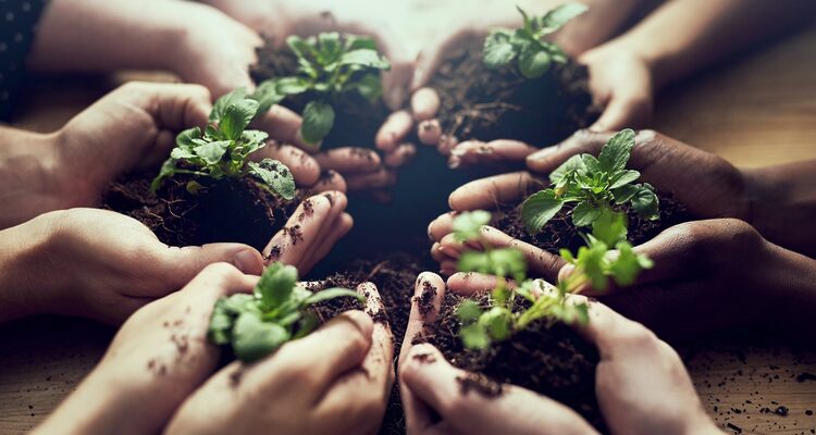 Greener Living Guide