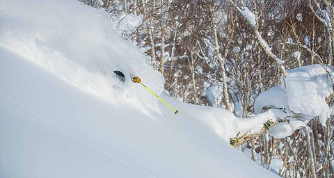 Skiing in Japan Niseko Guide